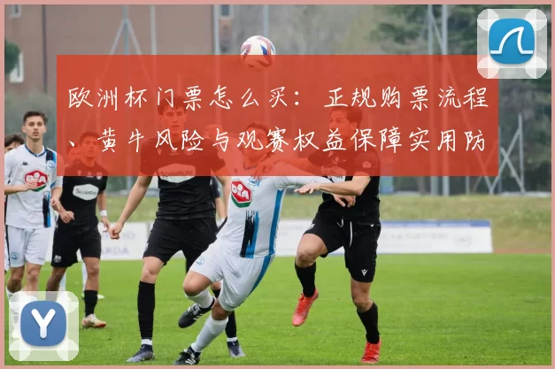 欧洲杯门票怎么买：正规购票流程、黄牛风险与观赛权益保障实用防范要点