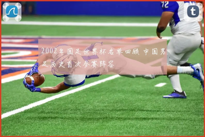 2002年国足世界杯名单回顾 中国男足历史首次参赛阵容
