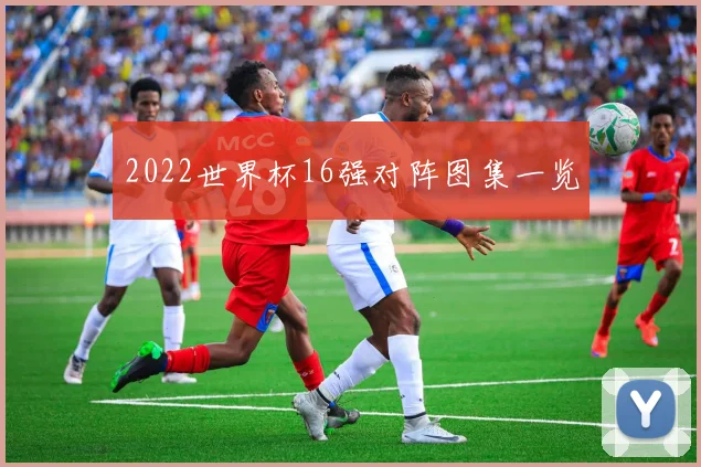 2022世界杯16强对阵图集一览