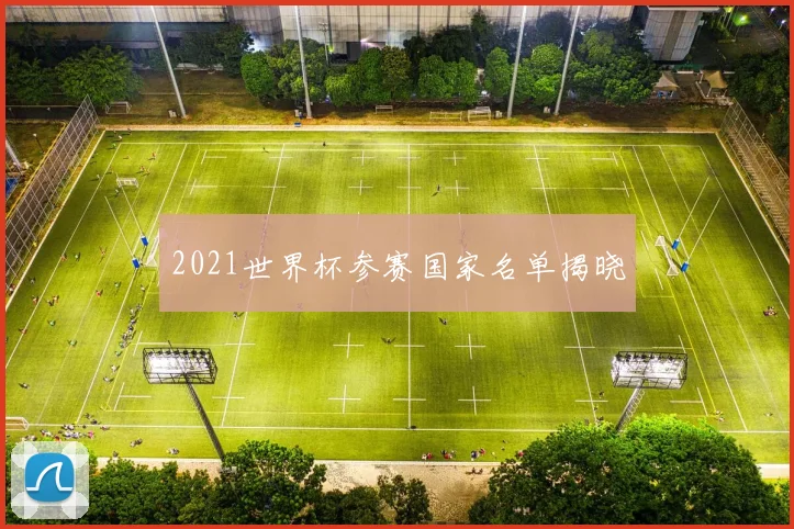 2021世界杯参赛国家名单揭晓