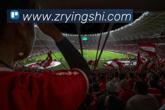 多媒体互动体验